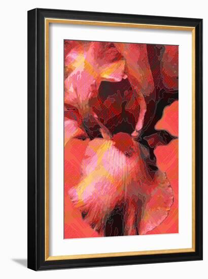 Orange Iris-Scott J. Davis-Framed Giclee Print