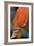 Orange Leaves II-Erin Berzel-Framed Photographic Print