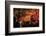 Orange Leaves-Ursula Abresch-Framed Photographic Print