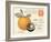 Orange Letter-Z Studio-Framed Art Print