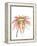 Orange Modern Botanical-Jan Weiss-Framed Stretched Canvas