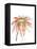 Orange Modern Botanical-Jan Weiss-Framed Stretched Canvas