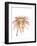 Orange Modern Botanical-Jan Weiss-Framed Art Print