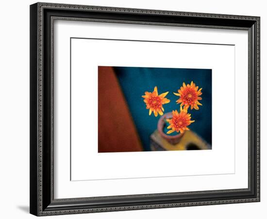 Orange Mums-unknown unknown-Framed Photo