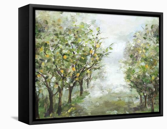 Orange Orchard-Allison Pearce-Framed Stretched Canvas