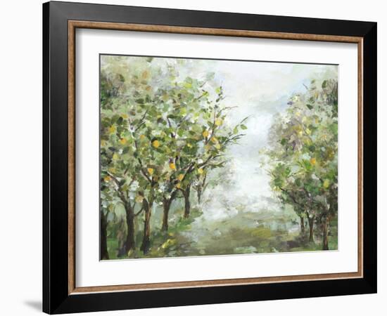 Orange Orchard-Allison Pearce-Framed Art Print