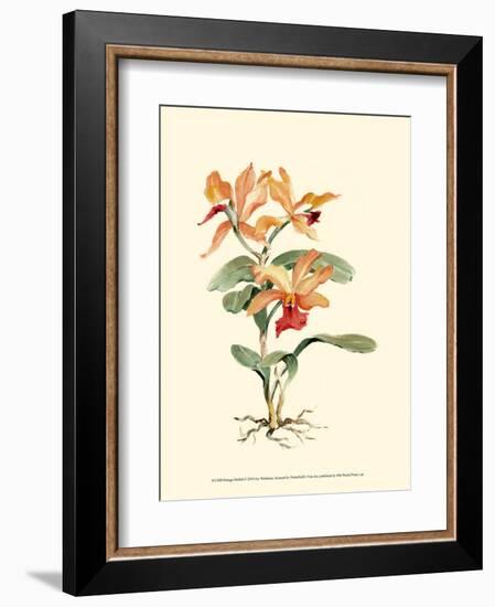 Orange Orchid-Joy Waldman-Framed Art Print