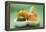 Orange, Pear, Lime and Apple in Polystyrene Tray-Foodcollection-Framed Premier Image Canvas