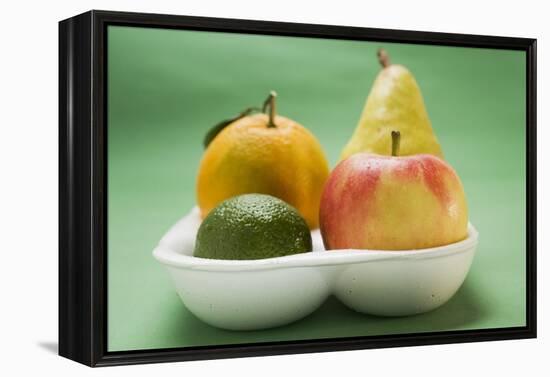 Orange, Pear, Lime and Apple in Polystyrene Tray-Foodcollection-Framed Premier Image Canvas