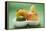 Orange, Pear, Lime and Apple in Polystyrene Tray-Foodcollection-Framed Premier Image Canvas