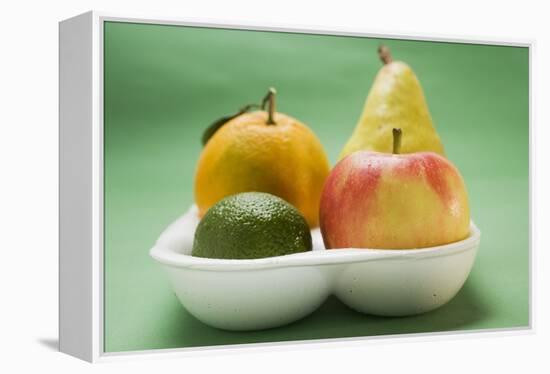 Orange, Pear, Lime and Apple in Polystyrene Tray-Foodcollection-Framed Premier Image Canvas