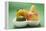 Orange, Pear, Lime and Apple in Polystyrene Tray-Foodcollection-Framed Premier Image Canvas