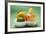 Orange, Pear, Lime and Apple in Polystyrene Tray-Foodcollection-Framed Photographic Print