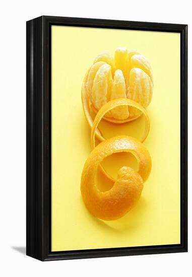 Orange Peel and Orange (Segments Separated)-Kröger and Gross-Framed Premier Image Canvas