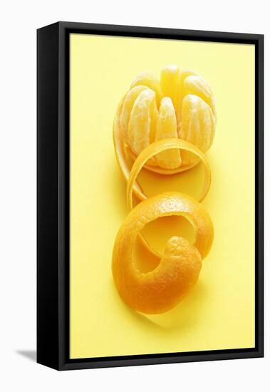 Orange Peel and Orange (Segments Separated)-Kröger and Gross-Framed Premier Image Canvas