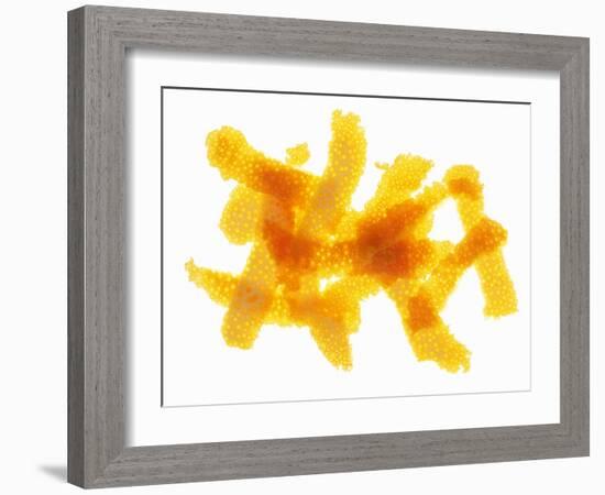 Orange Peel-Petr Gross-Framed Photographic Print