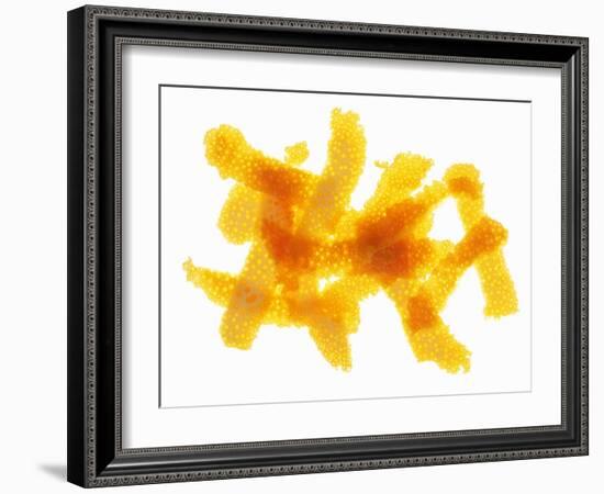 Orange Peel-Petr Gross-Framed Photographic Print