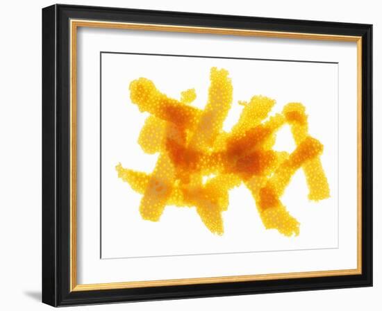 Orange Peel-Petr Gross-Framed Photographic Print