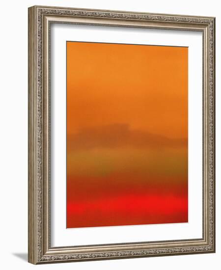 Orange Peel-Ruth Palmer-Framed Art Print