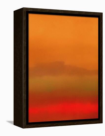 Orange Peel-Ruth Palmer-Framed Stretched Canvas