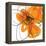 Orange Petals 2-Jan Weiss-Framed Stretched Canvas