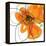 Orange Petals 2-Jan Weiss-Framed Stretched Canvas