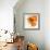 Orange Petals 2-Jan Weiss-Framed Premium Giclee Print displayed on a wall