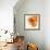 Orange Petals 2-Jan Weiss-Framed Premium Giclee Print displayed on a wall