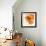 Orange Petals 2-Jan Weiss-Framed Premium Giclee Print displayed on a wall