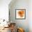 Orange Petals 2-Jan Weiss-Framed Premium Giclee Print displayed on a wall