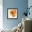 Orange Petals 2-Jan Weiss-Framed Premium Giclee Print displayed on a wall