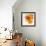 Orange Petals 2-Jan Weiss-Framed Premium Giclee Print displayed on a wall