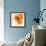 Orange Petals 2-Jan Weiss-Framed Premium Giclee Print displayed on a wall