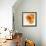 Orange Petals 2-Jan Weiss-Framed Premium Giclee Print displayed on a wall