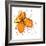 Orange Petals-Jan Weiss-Framed Art Print