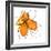 Orange Petals-Jan Weiss-Framed Art Print