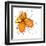 Orange Petals-Jan Weiss-Framed Art Print