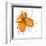 Orange Petals-Jan Weiss-Framed Art Print