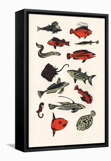 Orange Plain Fish, 2016-Eliza Southwood-Framed Premier Image Canvas