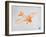 Orange Plane 2-NaxArt-Framed Art Print