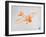 Orange Plane 2-NaxArt-Framed Art Print