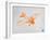 Orange Plane 2-NaxArt-Framed Art Print