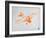 Orange Plane 2-NaxArt-Framed Art Print