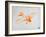 Orange Plane 2-NaxArt-Framed Art Print