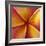 Orange Plumeria at Molokai Plumerias, Molokai, Hawaii, USA-Bruce Behnke-Framed Photographic Print