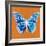 Orange Pop Butterfly-Christine Caldwell-Framed Art Print