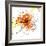 Orange Pop-Jan Weiss-Framed Art Print