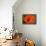 Orange Poppy-Savanah Stewart-Framed Premier Image Canvas displayed on a wall