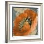 Orange Poppy-Lanie Loreth-Framed Art Print