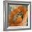 Orange Poppy-Lanie Loreth-Framed Premium Giclee Print